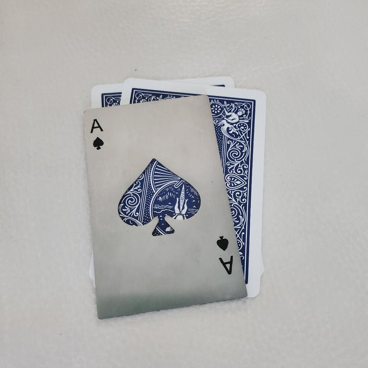 Card protector