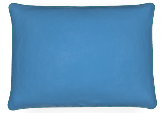 Blue Infinitum cushion