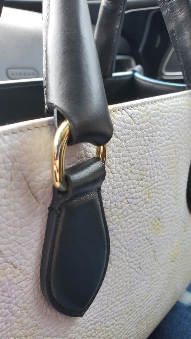 Lynn bag in WandY and Dolphin