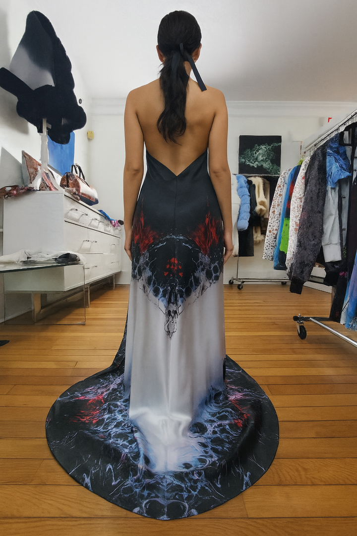 Maxi dress Phantom