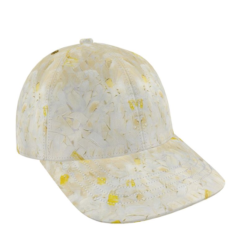 WandY baseball cap