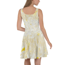 Load image into Gallery viewer, Skater Dress WandY
